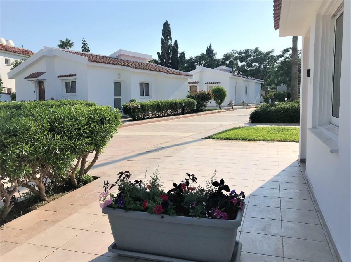 Fig Tree Z Holiday Resort Paralímni Extérieur photo